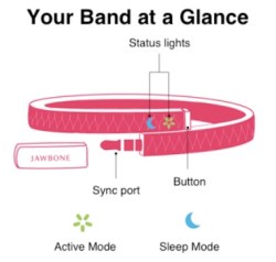 jawbone-up-at-a-glance illustration-of-application