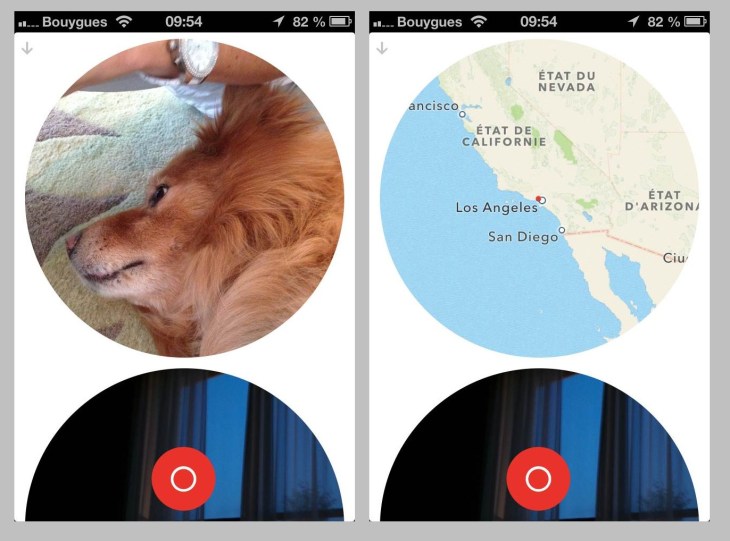 This photo of someone's dog came from the Los Angeles area