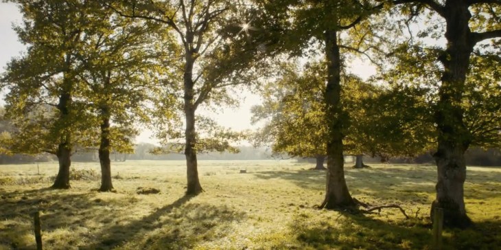 Bernavaus Peillac Airbnb Video Champs