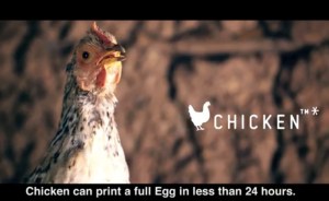 bulambuli valley crowdfunding video