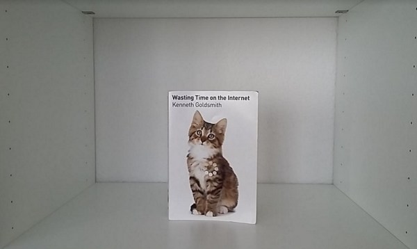 wasting-time-on-the-internet-book